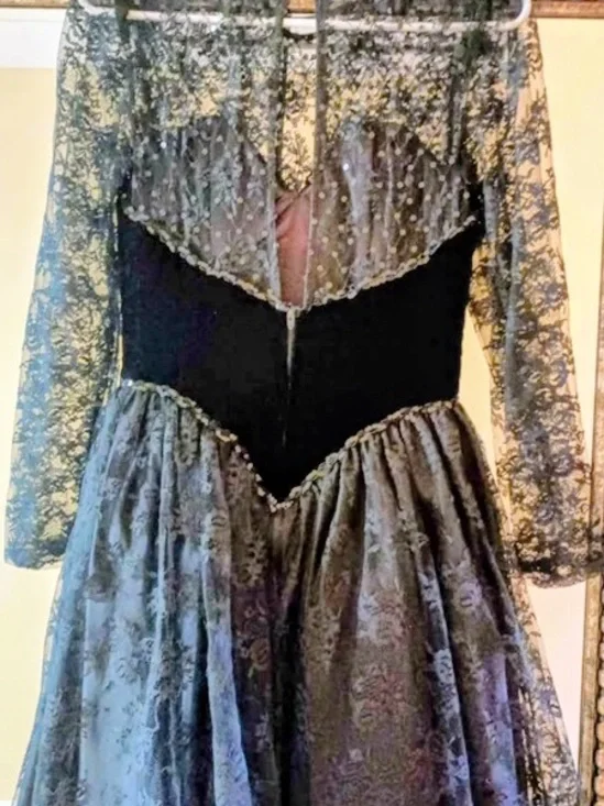 Vintage-Inspired Black Lace and Velvet Dress - Picture 2 of 2